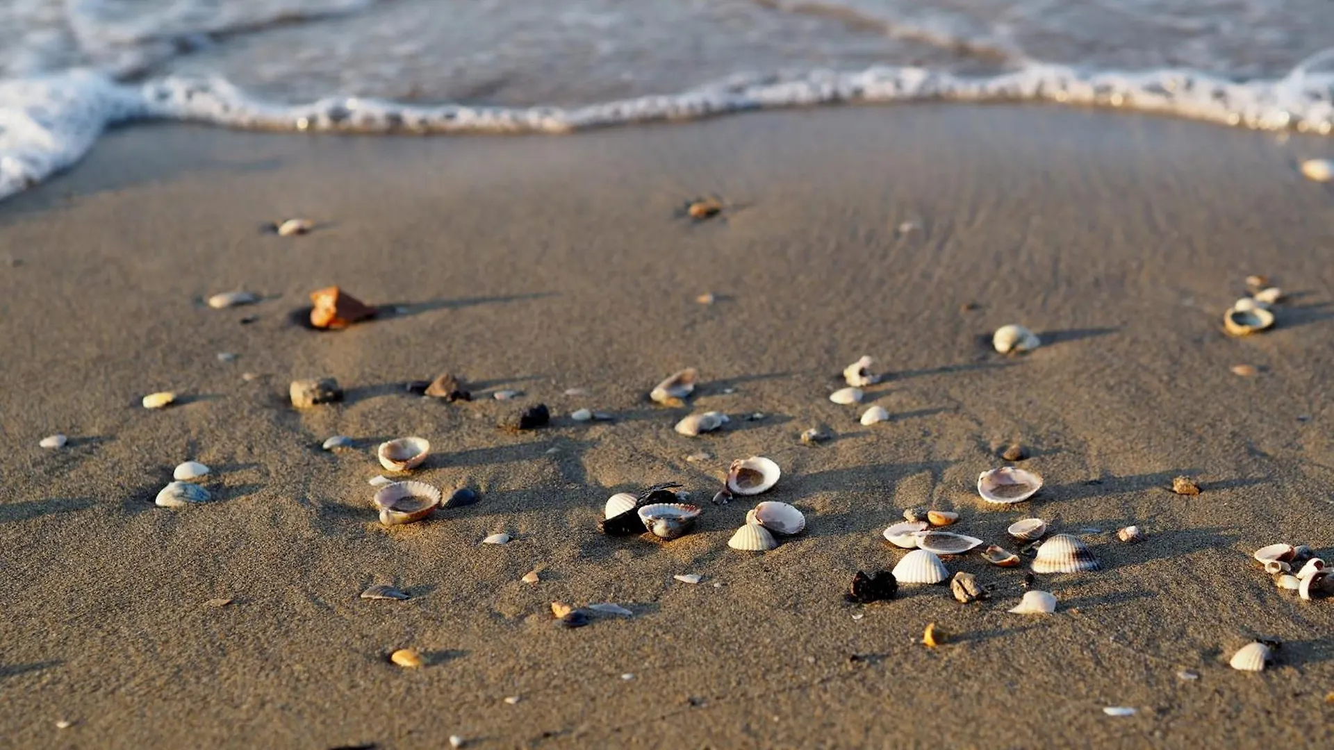 Comfy Seafront Apartment - Beahost Bibione